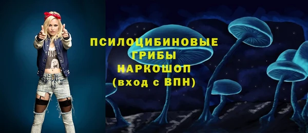 эйфоретик Краснослободск