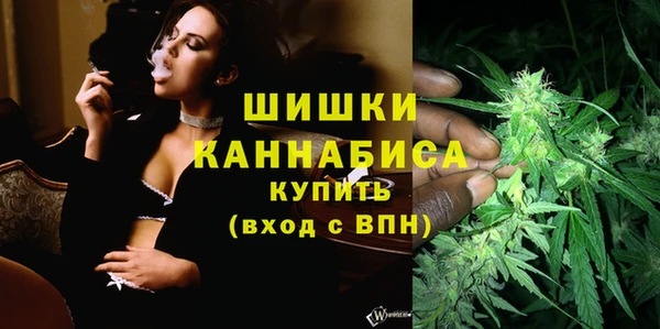 стафф Великий Новгород