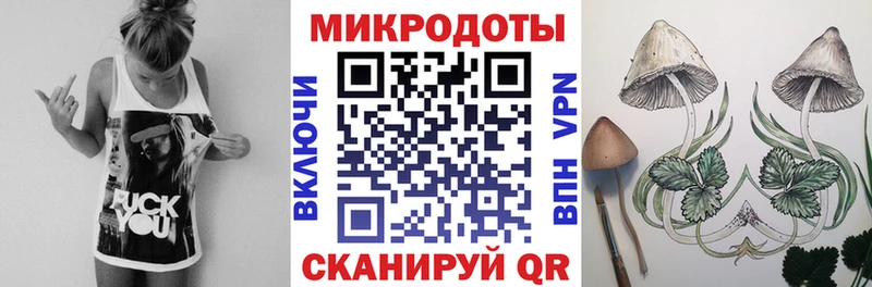 Галлюциногенные грибы мухоморы Купить закладки Заволжск