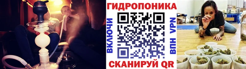 Купить Заволжск Бошки марихуана SATIVA & INDICA